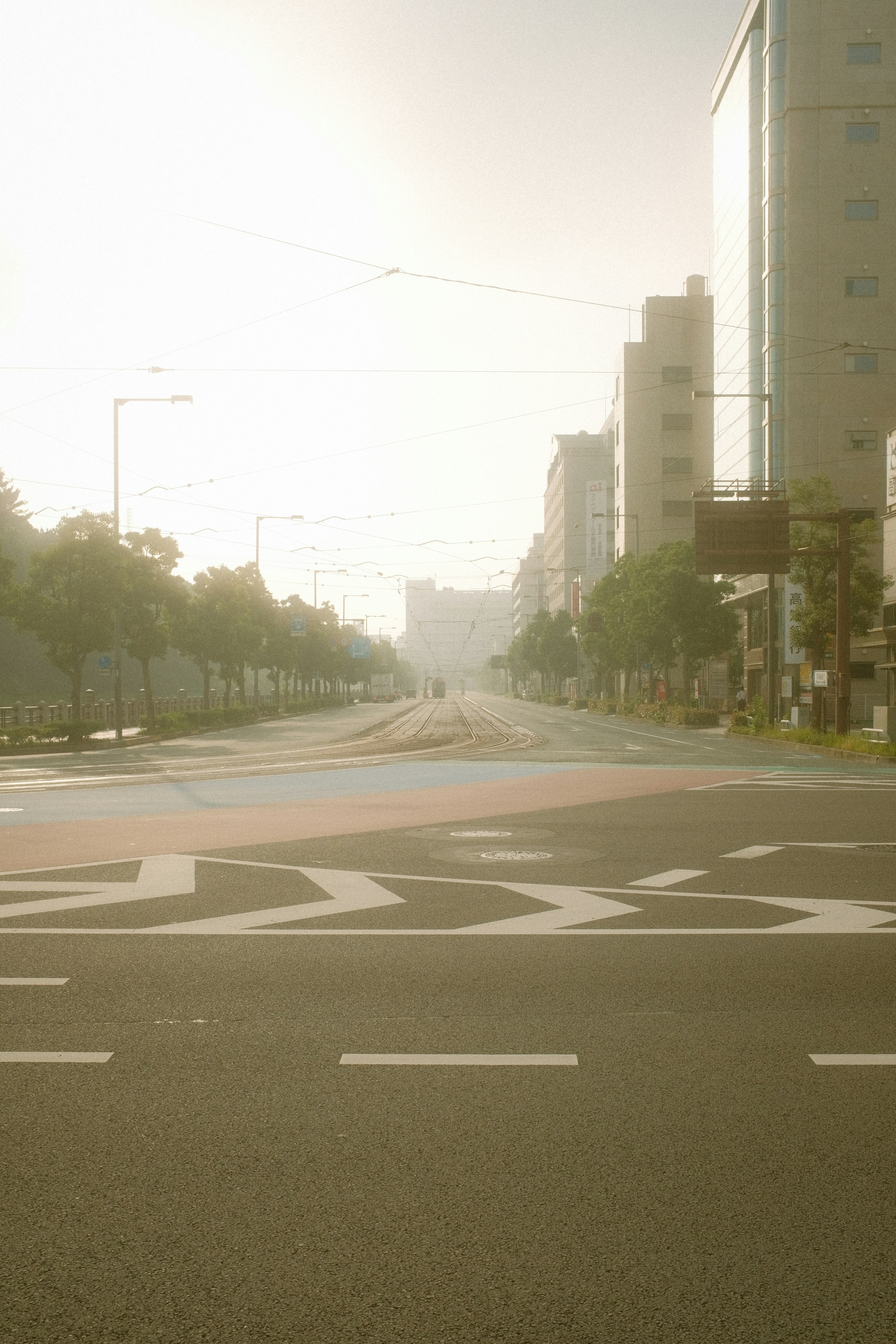 A nearly empty tram street washed in pale morning sunlight